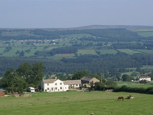 לינה וארוחת בוקר Wensley Capple Bank Farm מראה חיצוני תמונה